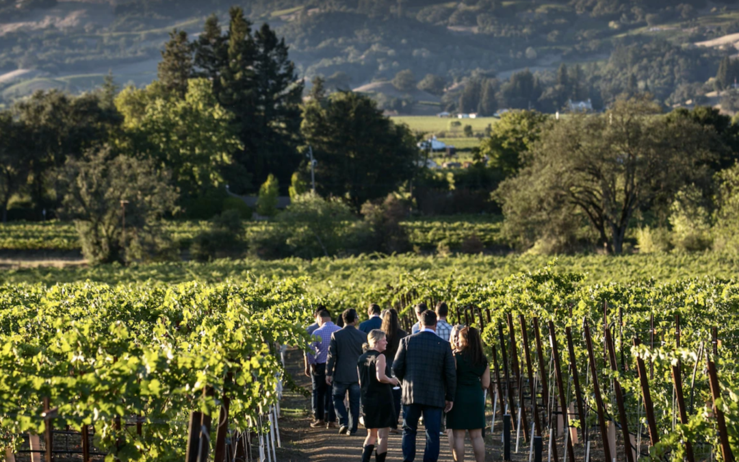 These 7 wine regions in the USA offer a perfect weekend getaway